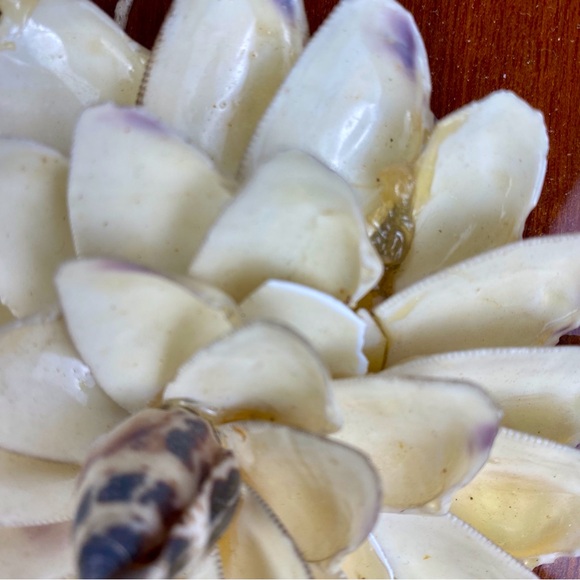 Vintage shell art picture, flowers, floral purple white, mother of pearl, Spain - Picture 6 of 13